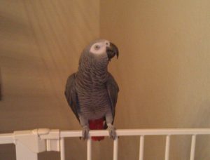 Holiday-Blues – BerlOndon-Mama